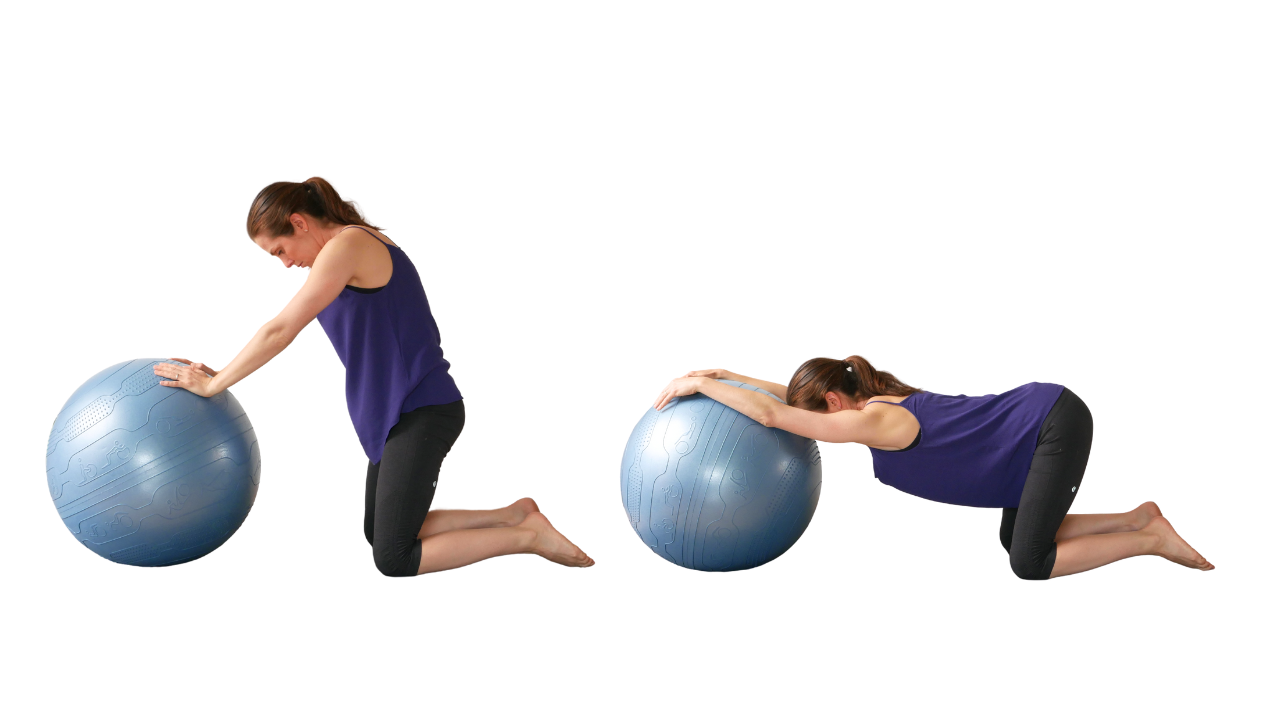 EXERCISE BALLS